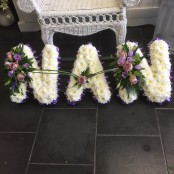 Nan Tribute
